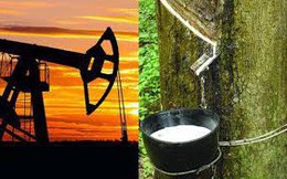 Thị trường hàng hóa ngày 17/8: Cao su xuống thấp nhất 22 tháng, vàng và dầu thô hồi phục Thị trường hàng hóa ngày 17/8: Cao su xuống thấp nhất 22 tháng, vàng và dầu thô hồi phục