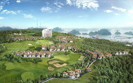 Biệt thự đồi hướng biển – Sức hút của thị trường bất động sản Biệt thự đồi hướng biển – Sức hút của thị trường bất động sản