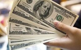 USD ngân hàng "nhảy múa", tỷ giá trung tâm lên đỉnh mới USD ngân hàng "nhảy múa", tỷ giá trung tâm lên đỉnh mới