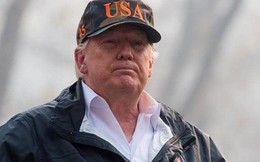 Nói Phần Lan cào cỏ khô để ngăn cháy rừng, ông Trump bị chế nhạo Nói Phần Lan cào cỏ khô để ngăn cháy rừng, ông Trump bị chế nhạo