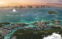 Hấp lực của thị trường bất động sản Hạ Long Hấp lực của thị trường bất động sản Hạ Long