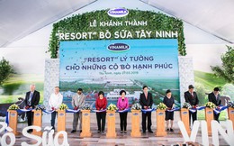 Mô hình "Resort" bò sữa đạt chuẩn Global G.A.P. – Chìa khóa tạo dựng niềm tin của người tiêu dùng với sản phẩm sữa tươi Mô hình "Resort" bò sữa đạt chuẩn Global G.A.P. – Chìa khóa tạo dựng niềm tin của người tiêu dùng với sản phẩm sữa tươi