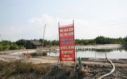 Bất động sản Cần Giờ vắng vẻ lạ thường Bất động sản Cần Giờ vắng vẻ lạ thường