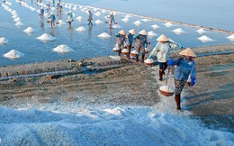 Ngành muối Việt khốn khổ vì hàng nhập khẩu và biến đổi khí hậu Ngành muối Việt khốn khổ vì hàng nhập khẩu và biến đổi khí hậu