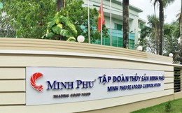 Doanh thu 5 tháng của Minh Phú giảm nhẹ còn 225 triệu USD Doanh thu 5 tháng của Minh Phú giảm nhẹ còn 225 triệu USD