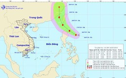 Áp thấp nhiệt đới đã mạnh thành bão Danas giật cấp 10