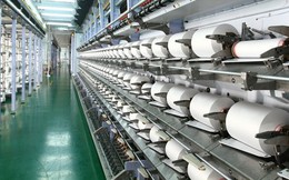Sợi Thế kỷ lãi ròng 106 tỷ nửa đầu năm, hoàn thành 53% kế hoạch năm Sợi Thế kỷ lãi ròng 106 tỷ nửa đầu năm, hoàn thành 53% kế hoạch năm