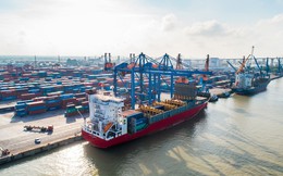 Cảng Đình Vũ (DVP): Lợi nhuận trước thuế quý 2 đạt cao nhất từ khi lên sàn giao dịch Cảng Đình Vũ (DVP): Lợi nhuận trước thuế quý 2 đạt cao nhất từ khi lên sàn giao dịch