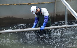 Xả triệu khối nước vào sông Tô Lịch, ở Nhật phải báo trước 3-5 ngày