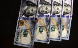 Dù đổ lỗi cho FED nhưng ông Trump mới là "nguyên nhân" khiến đồng USD mạnh Dù đổ lỗi cho FED nhưng ông Trump mới là "nguyên nhân" khiến đồng USD mạnh