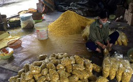 Phát hiện cơ sở trộn lưu huỳnh vào củ riềng xay nhỏ bán ra chợ Phát hiện cơ sở trộn lưu huỳnh vào củ riềng xay nhỏ bán ra chợ