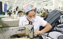 Tổng giám đốc Vinatex: Ngành dệt may năm 2019 sẽ thách thức hơn 2018 Tổng giám đốc Vinatex: Ngành dệt may năm 2019 sẽ thách thức hơn 2018