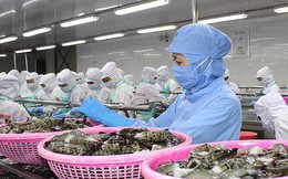 Bộ Công Thương cảnh báo nhập siêu 3 tỷ USD năm 2019 Bộ Công Thương cảnh báo nhập siêu 3 tỷ USD năm 2019