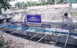 Làm sạch sông Tô Lịch: Chưa rõ kết quả, giá tiền công nghệ Nhật Bản