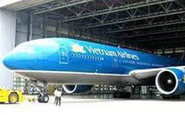 Phát hiện xác chim trên mũi bị hóp của máy bay Vietnam Airlines