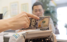 Dòng kiều hối tăng: Tin vào sự ổn định của nền kinh tế Việt Nam