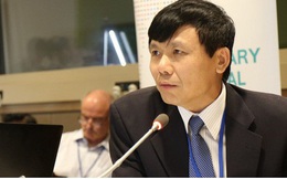 Việt Nam đã sẵn sàng cho vị trí Chủ tịch Hội đồng Bảo an Liên hợp quốc