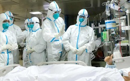 Hai trang web chính thức của y tế Việt Nam cập nhật dịch viêm phổi do virus corona