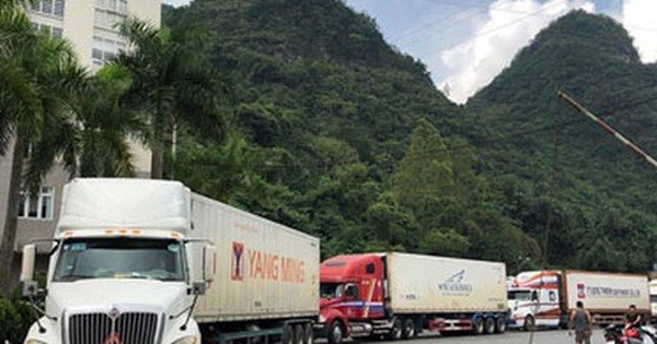 Hơn 500 container nông sản đang 