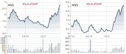 
HAG, HNG giúp nhà đầu tư yên tâm du xuân trẩy hội
