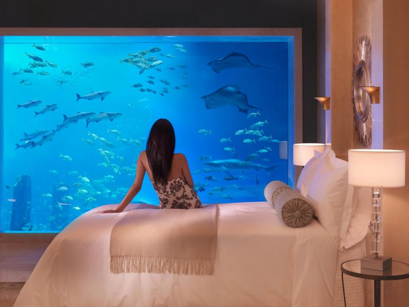 Trải nghiệm ngủ cùng cá tại những khách sạn dưới nước độc đáo nhất ...