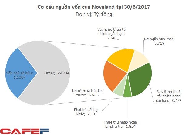 Nguồn: Báo cáo Tài chính hợp nhất Quý II/2017 của Tập đoàn Novaland