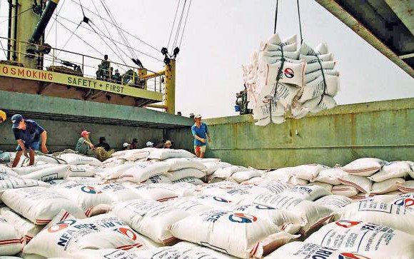 Ngành xuất khẩu gạo có thể quản lý bằng hình thức khác thay vì điều kiện kinh doanh.