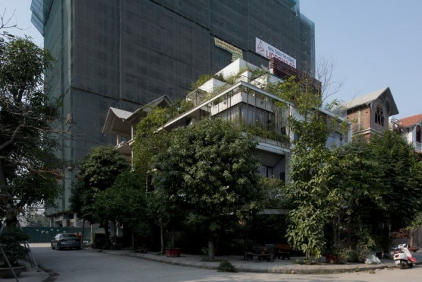 photo 1 1490068088837 - Hà Nội: Ngôi nhà phủ đầy cây xanh đẹp rạng ngời trên báo Mỹ