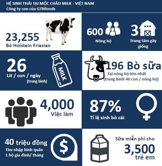 Đi theo mô hình đó, Mộc Châu Milk tiếp tục mở rộng hoạt động kinh doanh với tầm nhìn chiến lược dài hạn đạt 100.000 con.