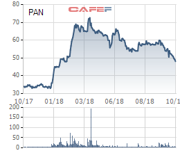 ĐHĐCĐ The PAN Group: Thông qua phương án chia cổ phiếu thưởng tỷ lệ 25%, khóa room ngoại ở 49% - Ảnh 1.