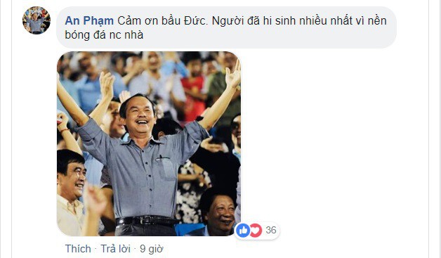 Việt Nam vô địch AFF Cup 2018, hàng ngàn người hâm mộ gửi lời tri ân đến bầu Đức - Ảnh 7.