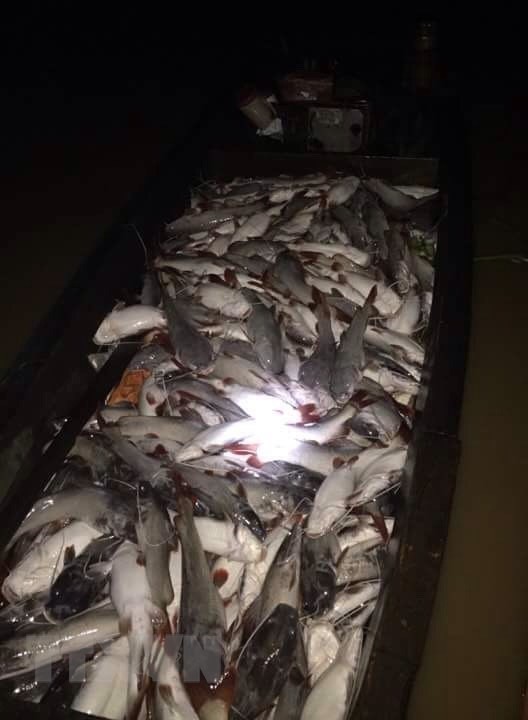 [Photo] Cận cảnh cá chết nổi trắng sông La Ngà ở Đồng Nai - Ảnh 3.
