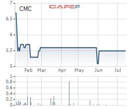 CMC: Quý 2 lỗ 2,8 tỷ đồng, cổ phiếu không có giao dịch suốt nhiều phiên - Ảnh 2.