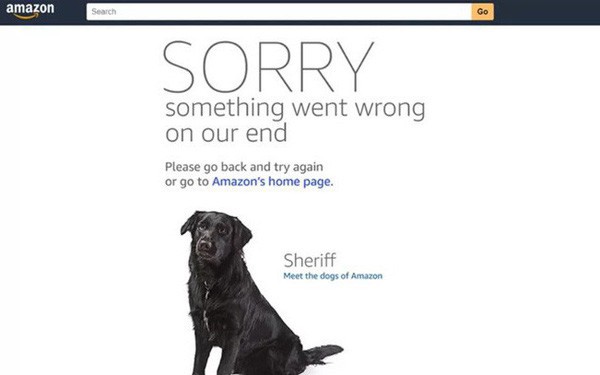 Website của Amazon bị sập do đợt sale quá khủng - Ảnh 1.