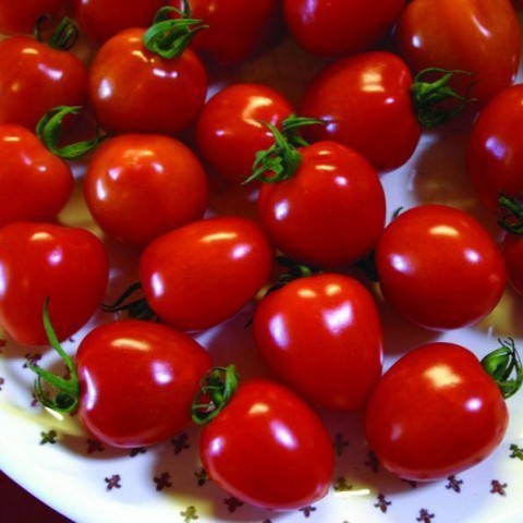 Trái mùa, cà chua bi đắt gấp ba ngày thường tại Hà Nội - Ảnh 1.