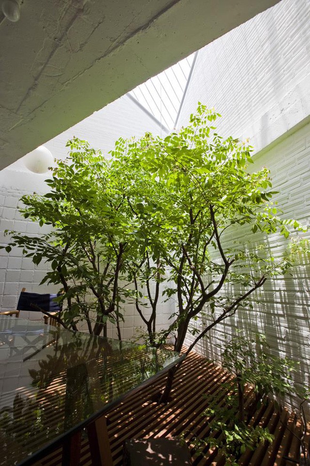 
Các miếng sàn lam gỗ giúp ánh sáng có thể len lỏi xuyên xuống các tầng không gian bên dưới, tạo điều kiện cho cây xanh có thể phát triển một cách tự nhiên.


