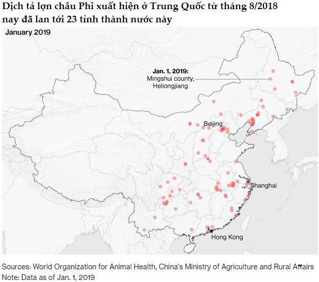 2019 có thể là năm đại khủng hoảng của ngành thịt lợn Trung Quốc - Ảnh 1.