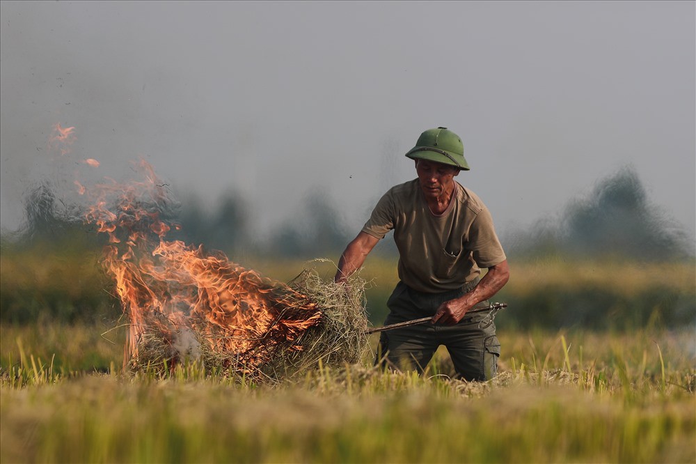 Khói đốt rơm rạ đang bủa vây ngoại thành Hà Nội