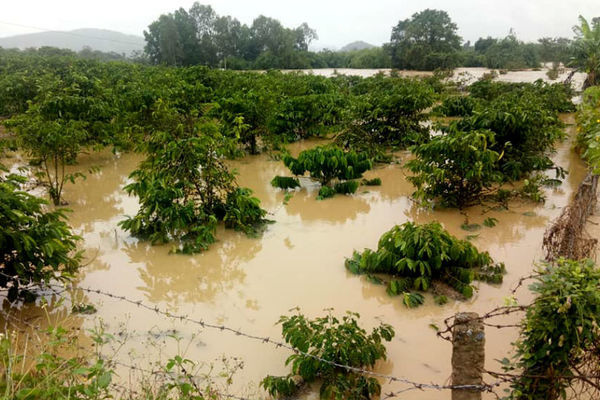 Trăm hộ dân ngập nước, dọa vỡ hồ chứa 700 nghìn m3 ở Đắk Lắk - Ảnh 3.
