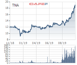 Đẩy mạnh kinh doanh bất động sản, cổ phiếu Thiên Nam (TNA) tăng “phi mã” trong năm 2019 - Ảnh 1.