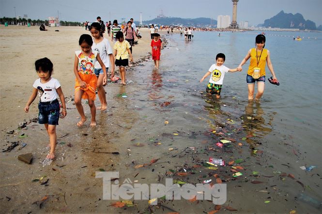Trẻ ngụp lặn bơi trong rác biển ở Hạ Long