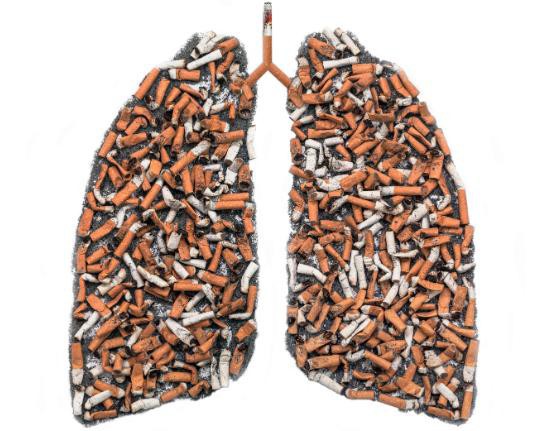 Người khỏe trước hết nhờ phổi: 6 việc giúp giải phóng phổi khỏi bệnh tật, ung thư - Ảnh 9.