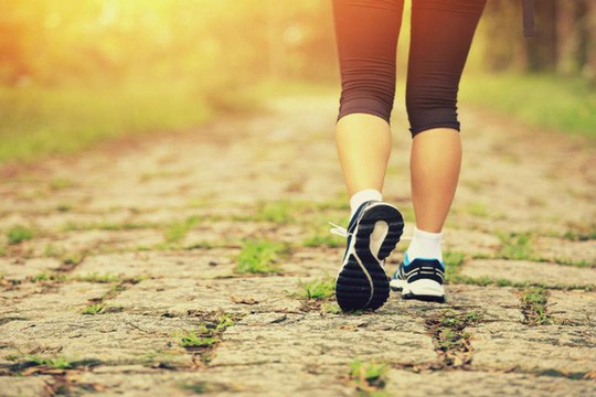 Chuyên gia Harvard: Cách đi bộ cực dễ giảm 41% nguy cơ chết sớm - Ảnh 1.