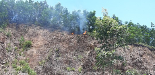  Đà Nẵng: Cháy lớn suốt 5 giờ khiến 3 hecta rừng bị thiêu rụi  - Ảnh 4.