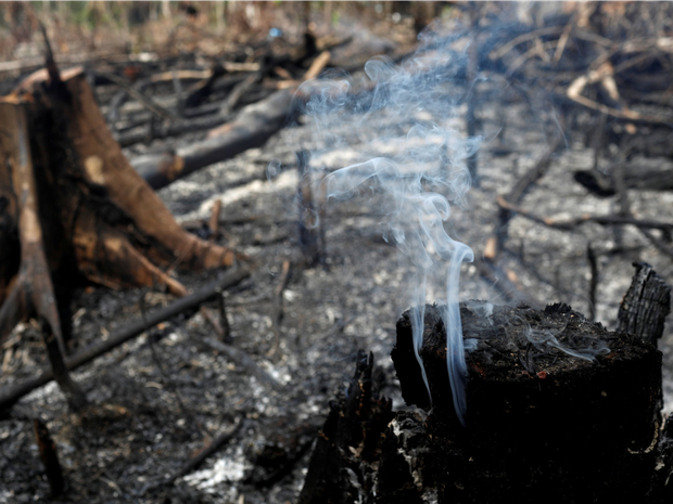 Loạt ảnh Amazon trước và sau đại nạn cháy rừng 2019: Lá phổi xanh ngày nào đã mang đầy bệnh tật do con người đầu độc - Ảnh 11.