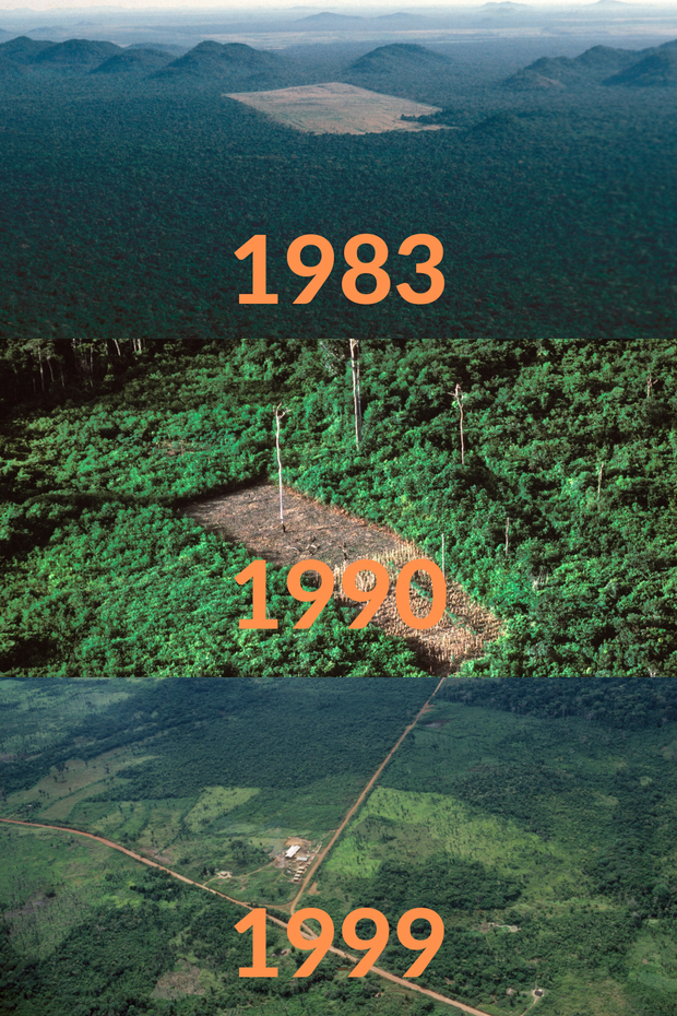 Loạt ảnh Amazon trước và sau đại nạn cháy rừng 2019: Lá phổi xanh ngày nào đã mang đầy bệnh tật do con người đầu độc - Ảnh 7.