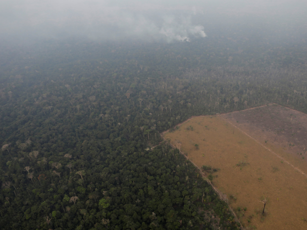 Loạt ảnh Amazon trước và sau đại nạn cháy rừng 2019: Lá phổi xanh ngày nào đã mang đầy bệnh tật do con người đầu độc - Ảnh 9.