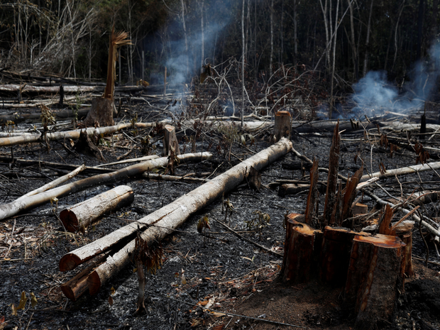 Loạt ảnh Amazon trước và sau đại nạn cháy rừng 2019: Lá phổi xanh ngày nào đã mang đầy bệnh tật do con người đầu độc - Ảnh 10.