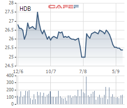 Giá cổ phiếu liên tục xuống thấp, HDBank muốn mua lại tối đa 5% vốn làm cổ phiếu quỹ  - Ảnh 1.