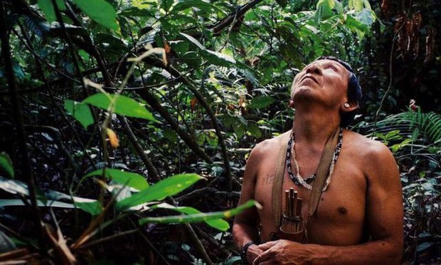Tù trưởng bản địa gần rừng Amazon và thông điệp cay đắng: Rồi các anh sẽ chìm trong sợ hãi, như cảm giác chúng tôi đang trải qua lúc này - Ảnh 2.